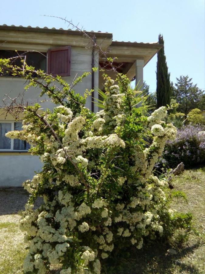 Casa D' Artista B&B Ozieri Kültér fotó